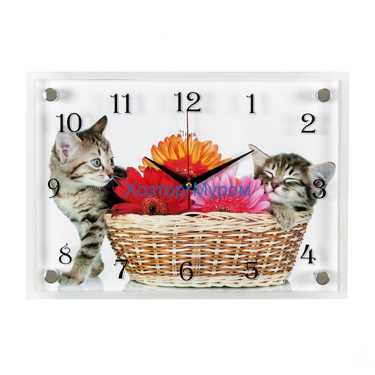 Часы настенные "Котята в корзинке" 25х35см, пластик, стекло, 2535-777