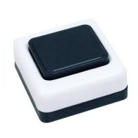 Кнопка для звонка (квадратная кнопка), А1-0.4-001 Витебск