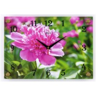 Часы настенные "Пион розовый" 25х35см, пластик, стекло, 2535-1053