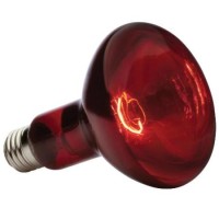 Лампа накаливания ИКЗК 215-225-250 (тепловая)