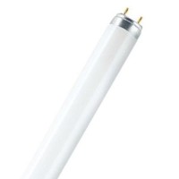 Лампа люминисцентная L18W/33-640 G13, Osram